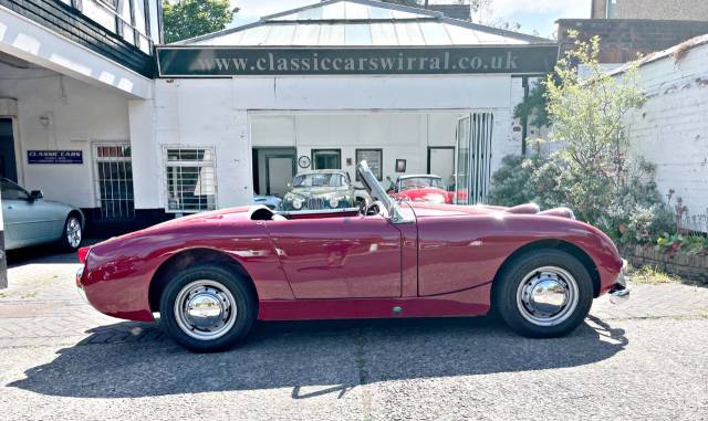 1959 Austin Healey 0.9 FROGEYE HEALEY SPRITE