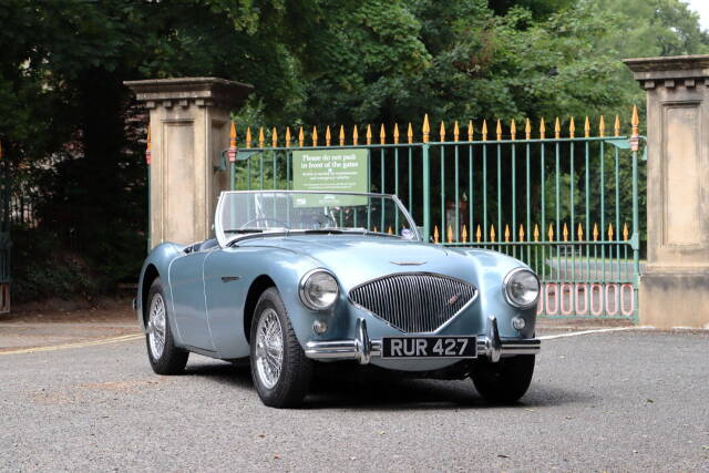1954 Austin Healey 2.6 100/4 BN/1